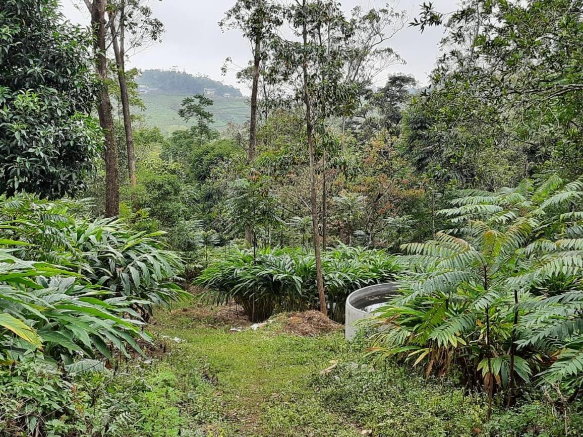 Cassells Jungle Resorts Vandiperiyār Exterior foto